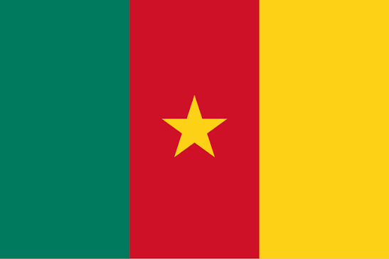 Kamerun flag